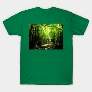 Yarrangobilly Path T-Shirt